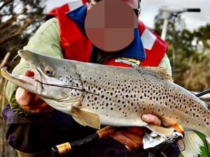 Read more about the article Identity of ‘Brown Trout Woman,’ in Her Late 50s, Revealed